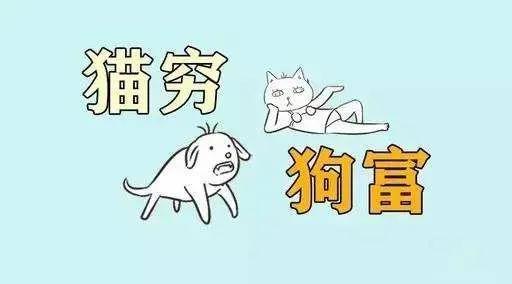 狗来财,猫来什么（到底是猫来财还是狗来财）