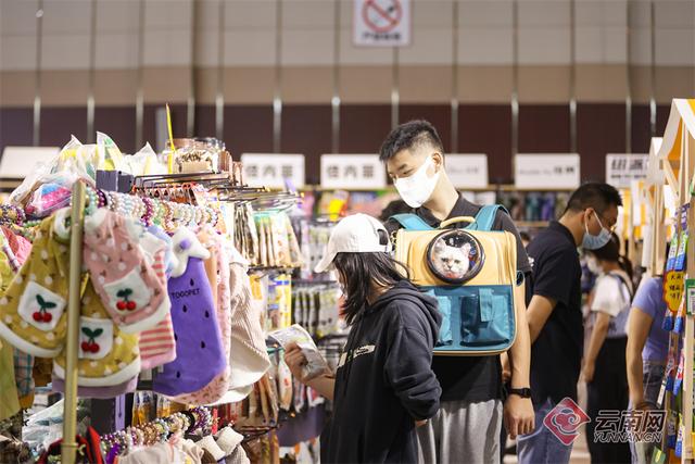 纯种昆明犬幼犬图片（纯种的昆明犬）