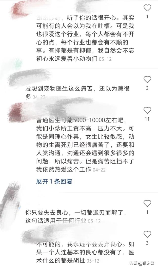 宠物医生在线咨询24小时免费？宠物医生请进兽医如何排解抑郁情绪？！