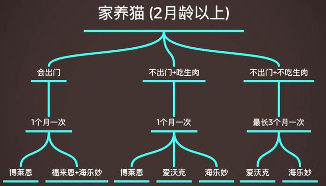 猫咪驱虫多久一次？花一个月总结猫咪驱虫药物，纯干货！