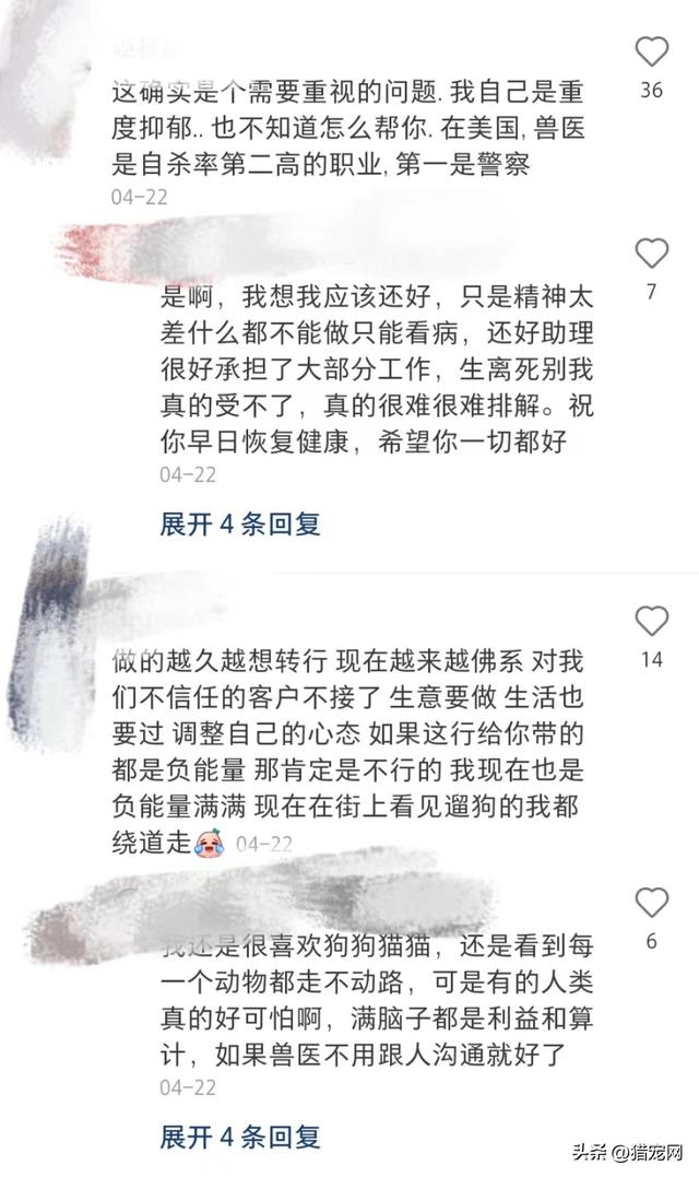 宠物医生在线咨询24小时免费？宠物医生请进兽医如何排解抑郁情绪？！