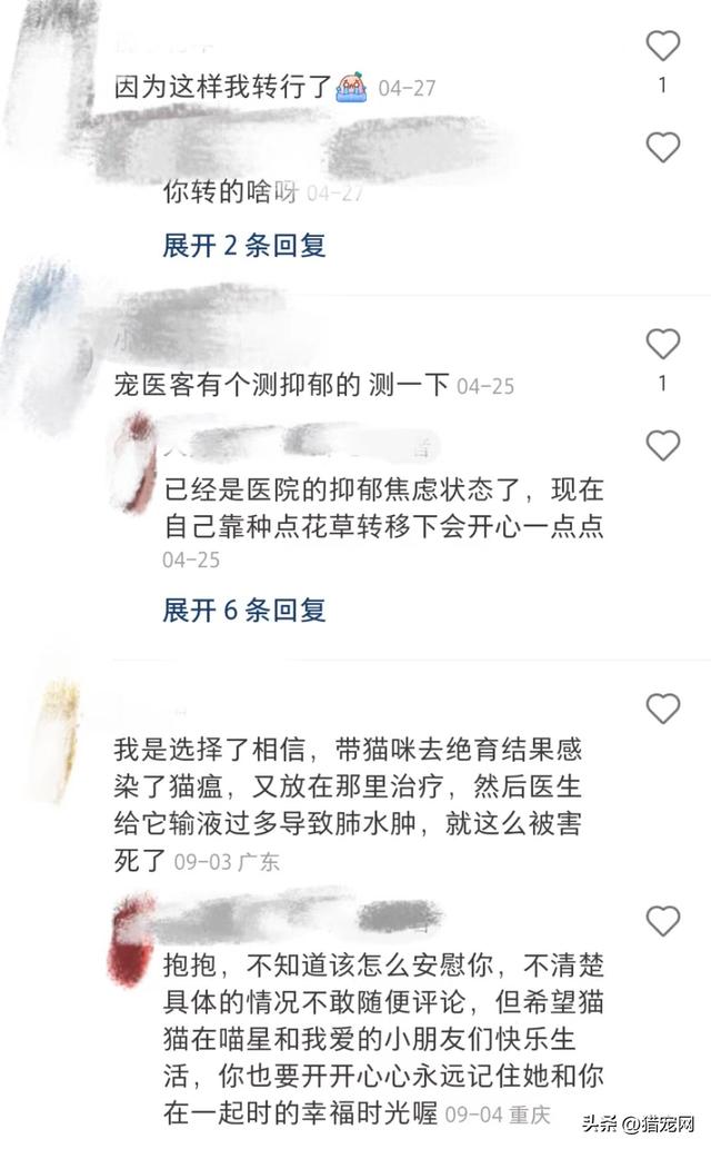 宠物医生在线咨询24小时免费？宠物医生请进兽医如何排解抑郁情绪？！