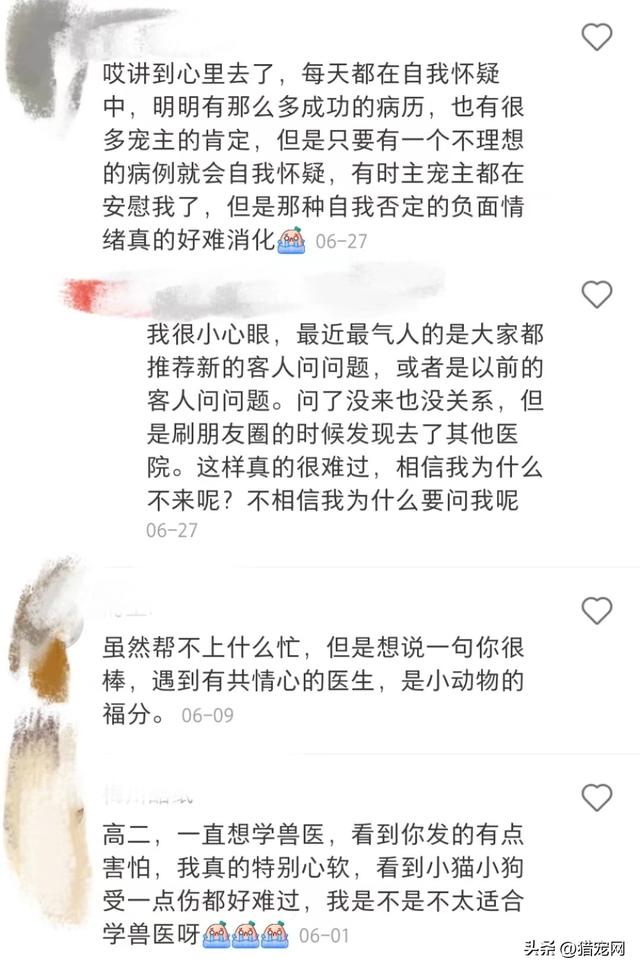 宠物医生在线咨询24小时免费？宠物医生请进兽医如何排解抑郁情绪？！