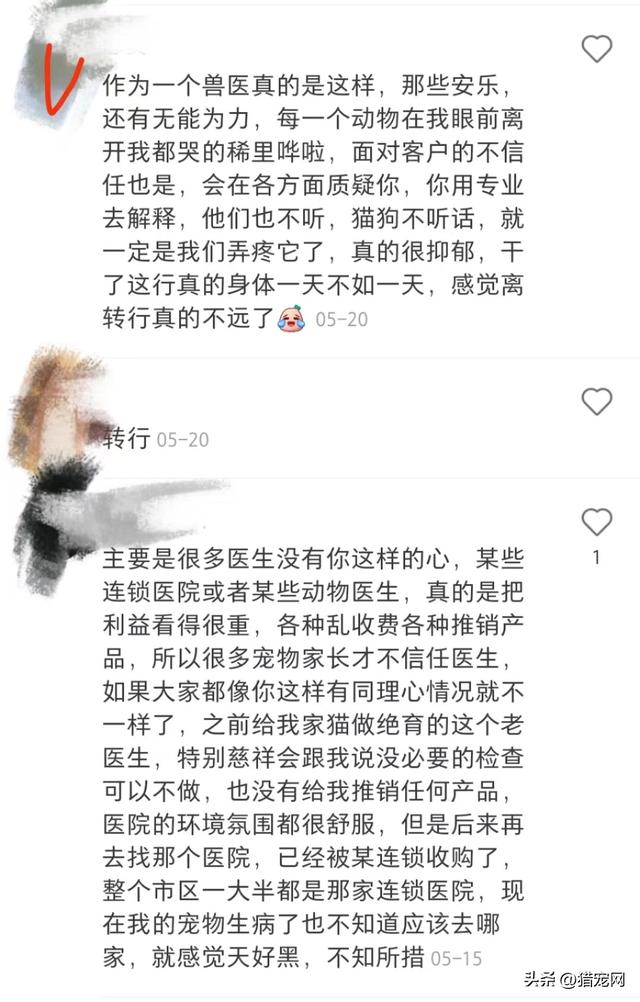 宠物医生在线咨询24小时免费？宠物医生请进兽医如何排解抑郁情绪？！