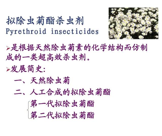 电蚊香对猫咪有没有影响呢？宠物冷知识家里点蚊香对毛孩子有害吗？！