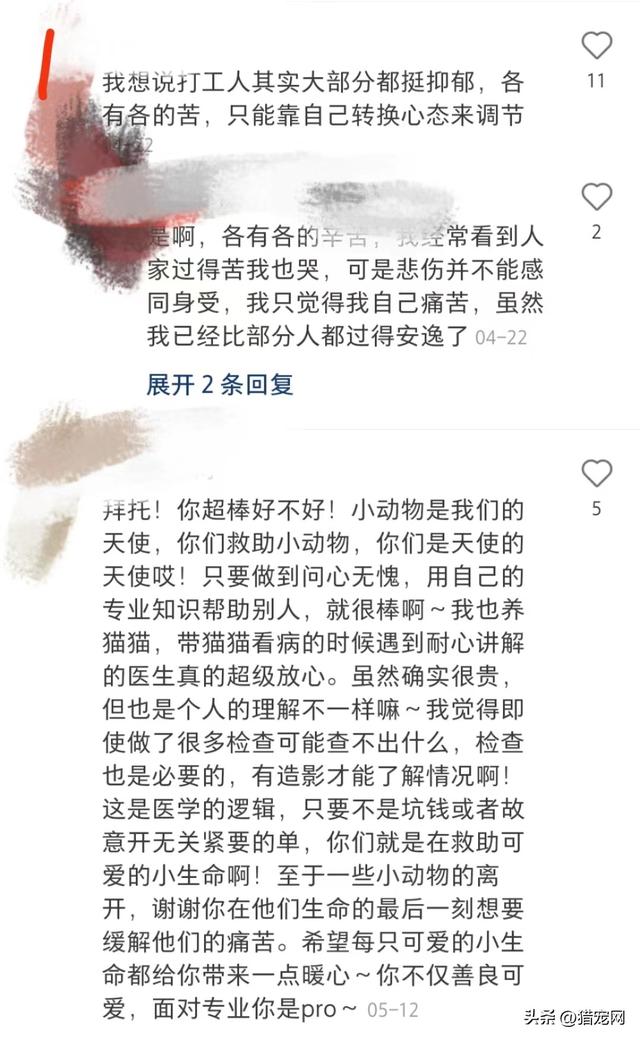 宠物医生在线咨询24小时免费？宠物医生请进兽医如何排解抑郁情绪？！