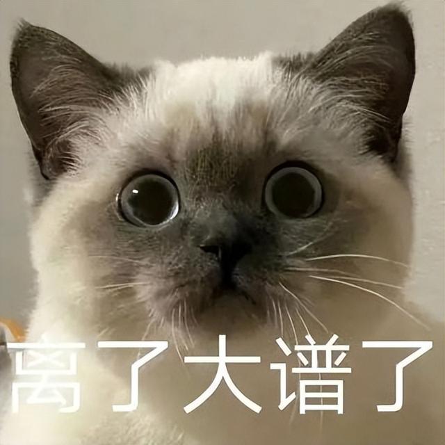 巴厘猫故乡不在巴厘，孟买猫来自美国，这些身份造假的小猫咪，抓！缅甸猫多少钱一只纯种？