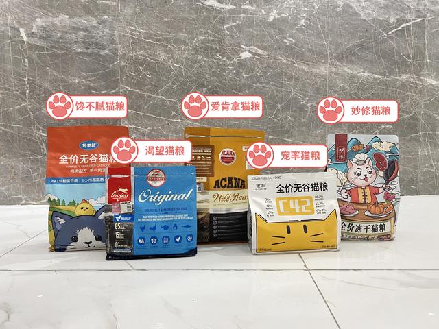 猫咪可以喝酸奶吗？再次劝告这几种食物不要经常喂，会导致猫咪生病！