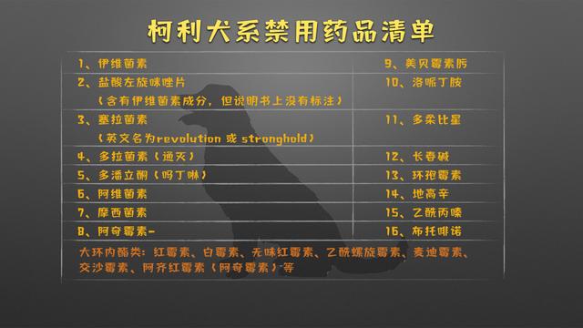 喜乐蒂价格多少钱一只幼犬喜乐蒂价格多少钱一只幼犬狗！