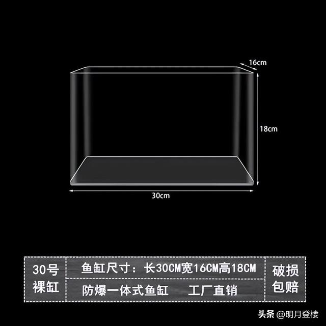 雷龙鱼怎么养发色好看？再次折腾雷龙鱼缸，这次终于满意了！