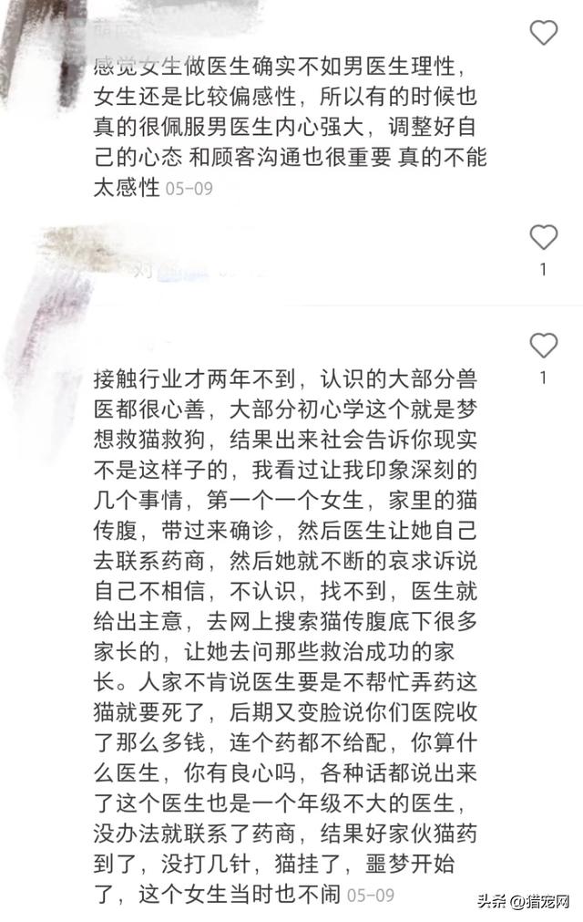 宠物医生在线咨询24小时免费？宠物医生请进兽医如何排解抑郁情绪？！