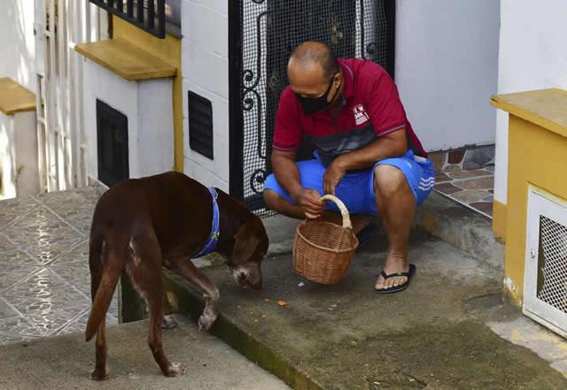 纯种拉布拉多幼犬多少钱一只黑色？纯种拉布拉多幼犬多少钱一只黑色的！