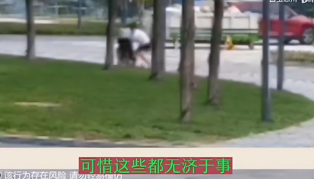 罗威纳犬挣脱女子束缚撕咬三岁男童长达两分钟，家长十多处伤