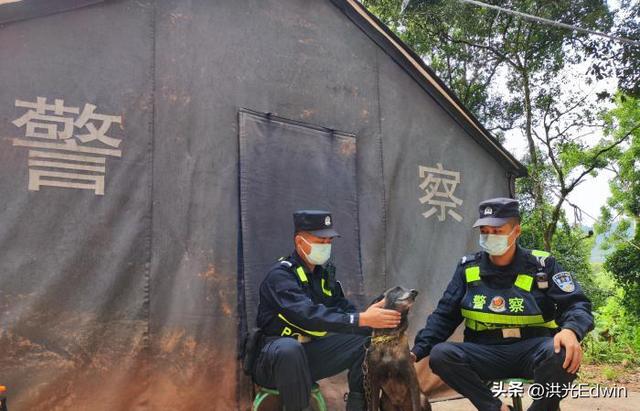 罗威纳犬多少钱一只纯种图片？罗威纳犬多少钱一只纯种狗！