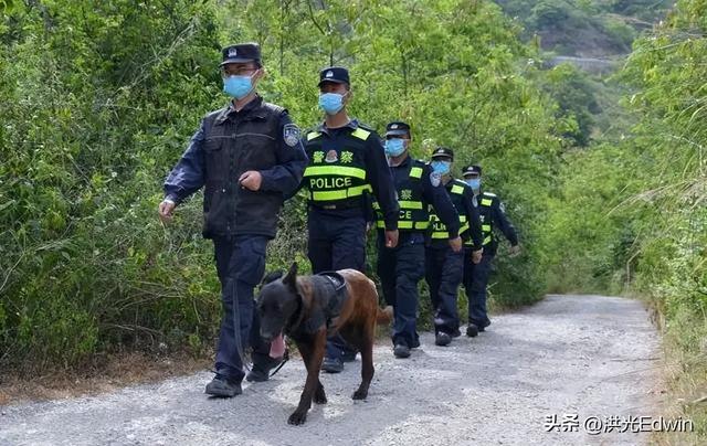 罗威纳犬多少钱一只纯种图片？罗威纳犬多少钱一只纯种狗！