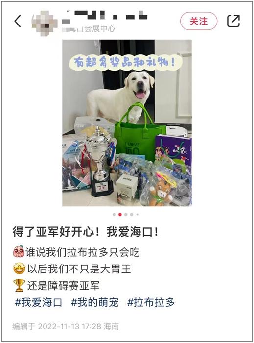 柯基犬多少钱一只？柯基犬多少钱一只幼崽！