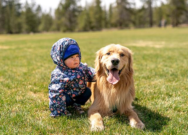 腊肠犬一般多少钱一只幼犬？腊肠犬一般多少钱一只幼犬图片！