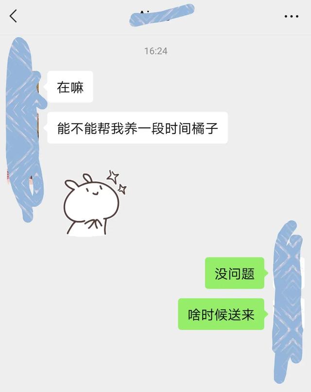 杜宾犬图片霸气？杜宾犬图片价格！