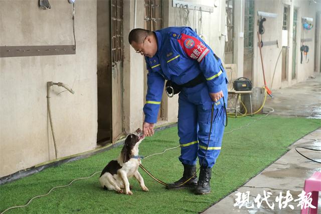 马里努阿犬图片？马里努阿犬图片_幼犬！