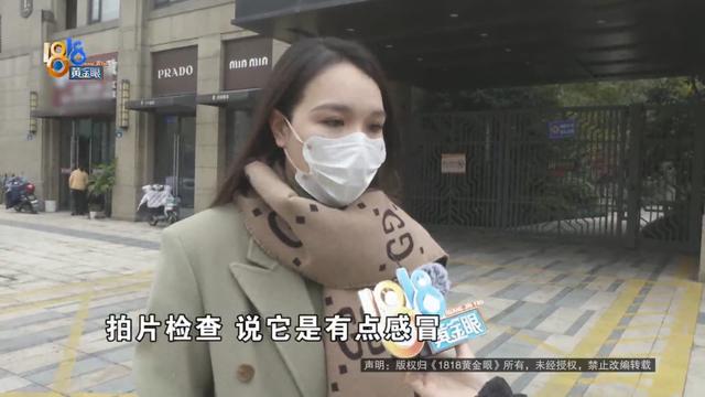 迷你杜宾犬和杜宾犬的区别？迷你杜宾犬和小鹿犬的区别！