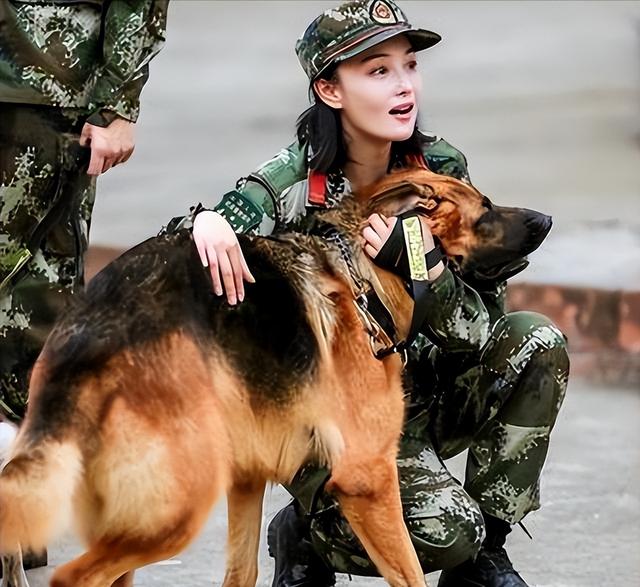 纯种德牧幼犬多少钱一只？纯种德牧幼犬多少钱一只回收！