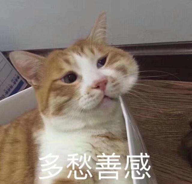 农村土猫多少钱一只幼崽？农村土猫多少钱一只啊！