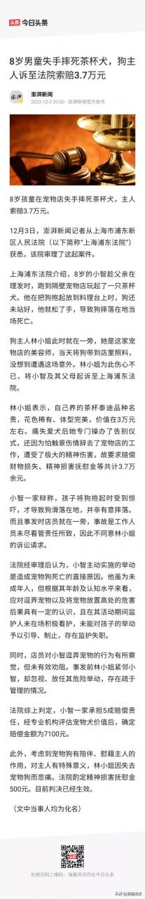 茶杯犬多少钱一只白色最便宜清远？茶杯犬多少钱一只白色视频！