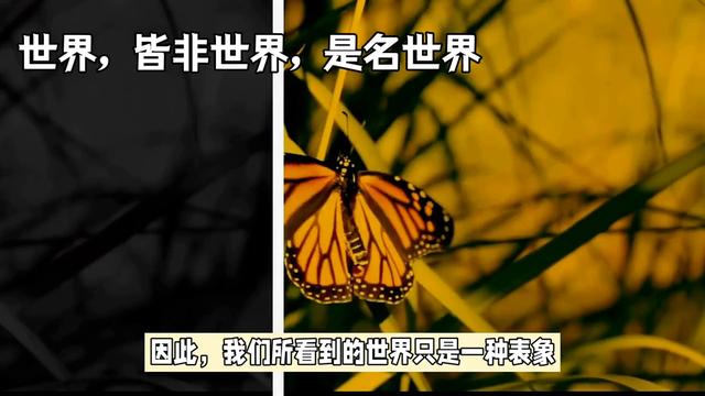 “世界，皆非世界，是名世界”什么意思#禅悟人生