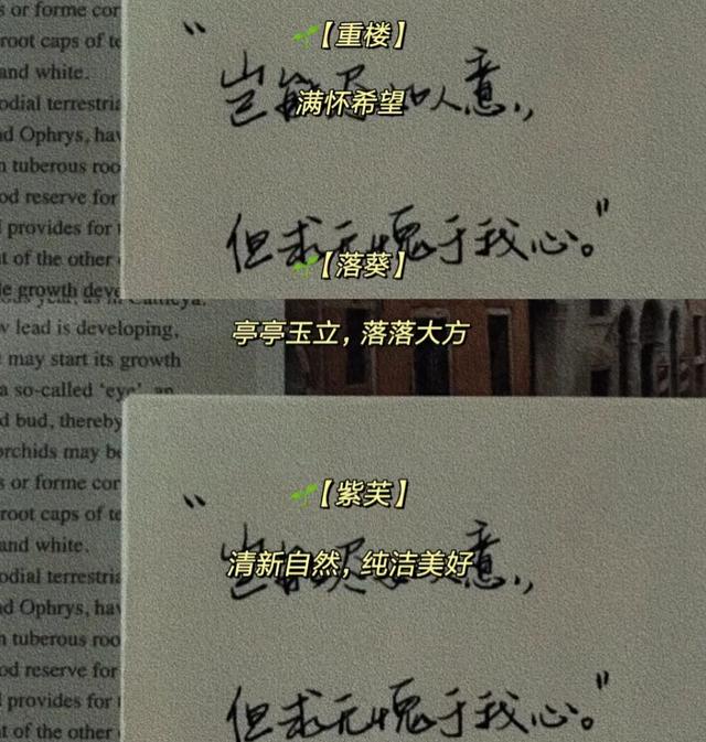 你的名字，多半决定了你是富贵命，还是穷人命