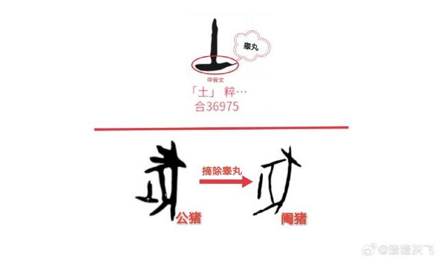 甲骨文揭秘：甲骨文“豖”是“阉豕”