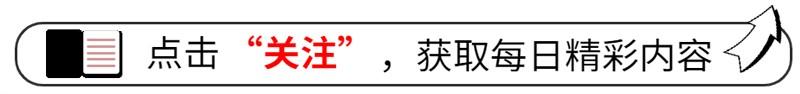 养这5种犬的人，不是老板就是土豪，被称为“老板专用护卫犬”