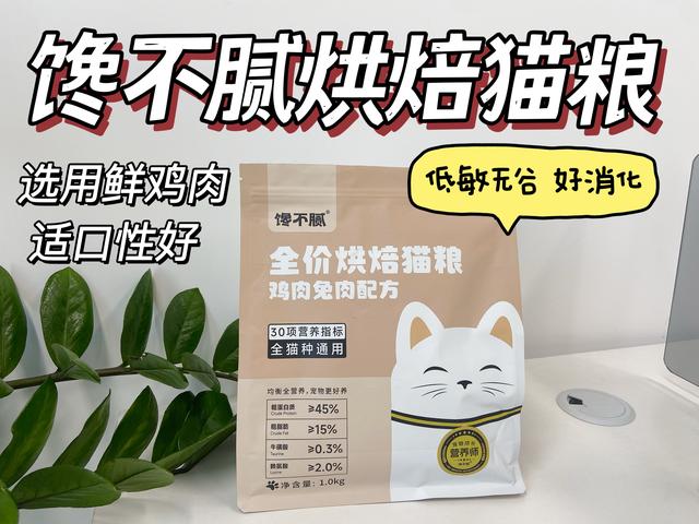 为何这么多人养“暹罗猫”？网友：养了才知道真香