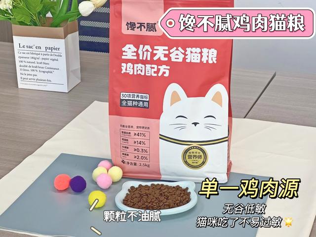 曾经火出圈的“加菲猫”，为何没人养了？宠物店老板：5个原因