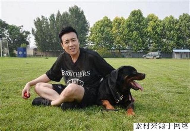 它是世界顶级护卫犬，与中国当红男星，结下了不解之缘