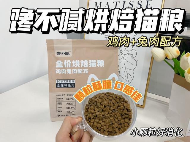 原来缅因猫这么可怕，怪不得养过的人，都不想再养了