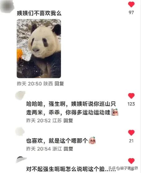 孙红雷，牛头梗，怎么可以这样说熊猫呢，他听到会伤心的