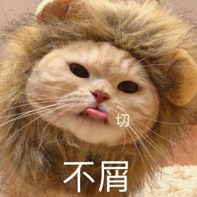 “买猫一时爽，养猫火葬场”的4种猫，免费送给你，都别养！