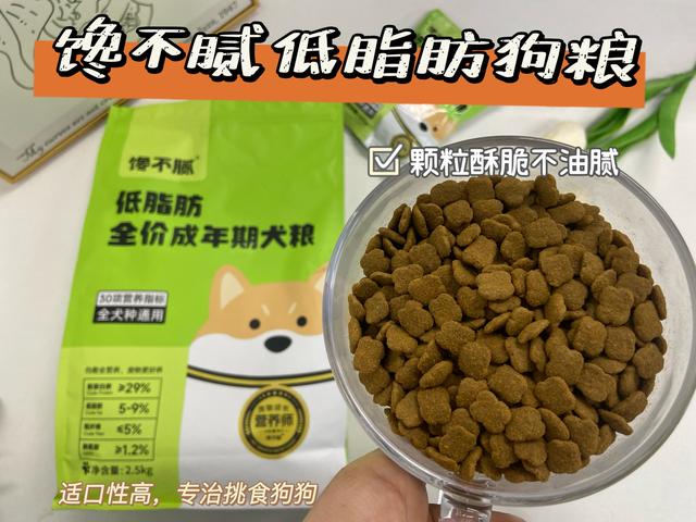 过来人告诉你，千万不要随便养法斗犬，除非你能忍受这6大弊端