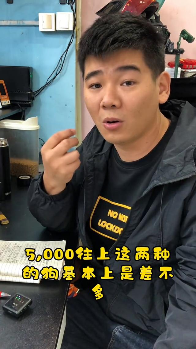 预算不同应该怎么选在哪买法牛？#法斗