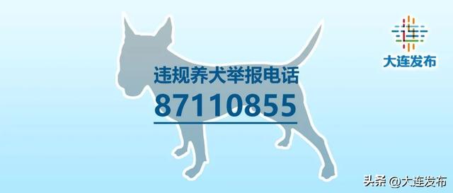 回应！关于犬类管理等热点问题