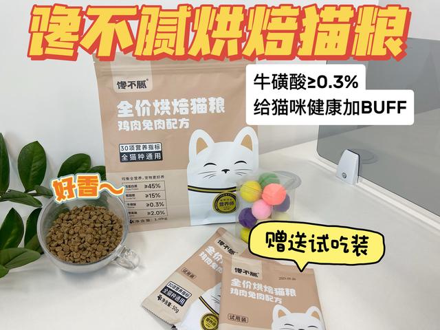 为什么“无毛猫”越来越遭人嫌？网友：这几点接受不了