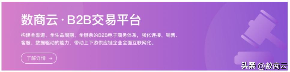 解读宠物用品B2B平台的吸引力：企业加入的优势与挑战