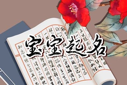 农历大年初一出生的女孩 象征希望和新生的名字